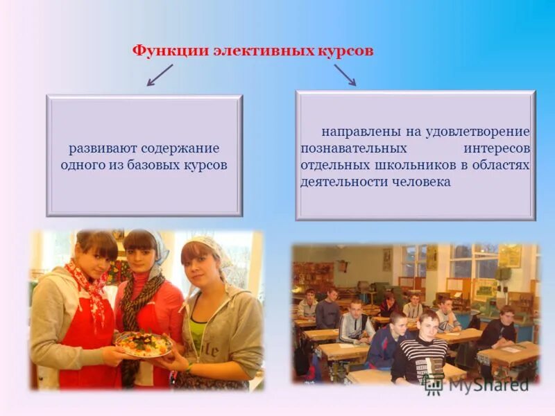 Элективный курс человек человек. Курс основы проектной деятельности. Курсы по профориентации. Элективные курсы. Биология человека 10 класс.