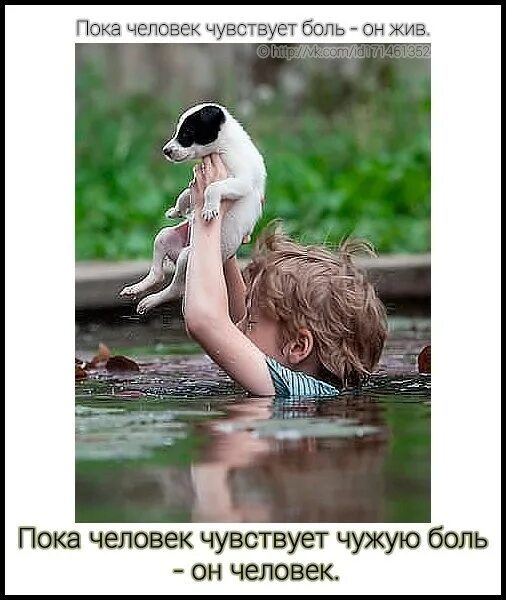Чувствует чужую боль. Пока человек чувствует. пока человек чувствует боль он жив. человек это с детства или никогда. человек жив пока чувствует чужую боль.