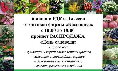 Ли садовод