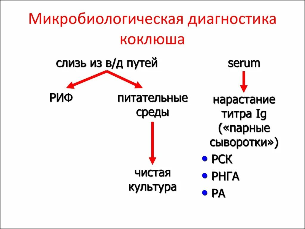 Схема лабораторной диагностики коклюша. Микробиологическая диагностика коклюша. Микробиологическое исследование при коклюше. Методы микробиологической диагностики коклюша.