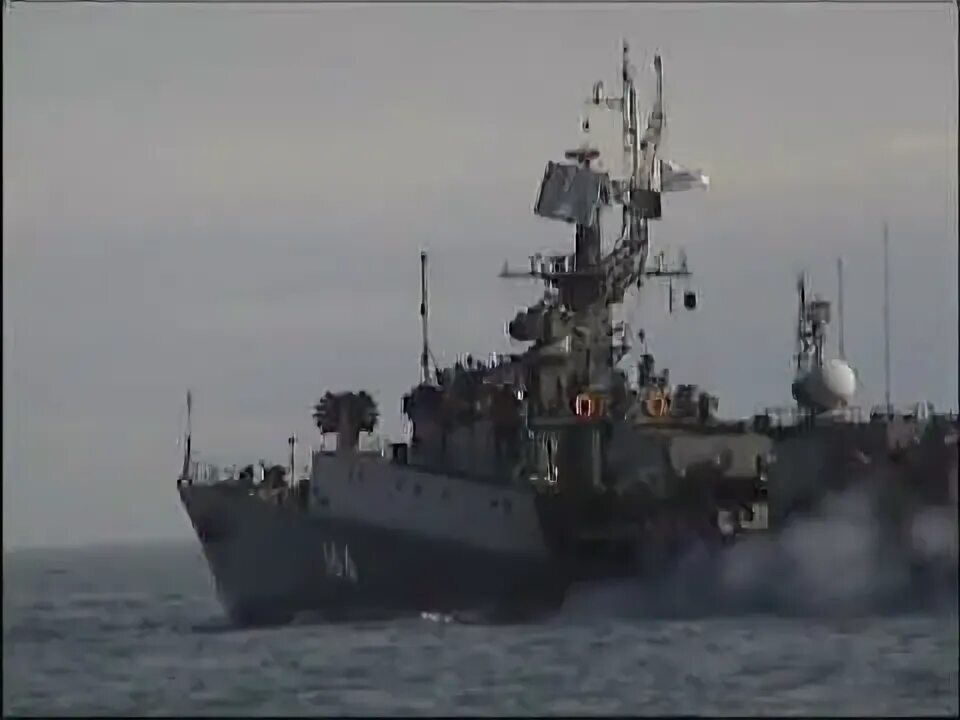 Мпк 2и55. Мпк альбатрос 1124. Мпк 82 противолодочный корабль. Альбатрос корабль мпк проект 11 классов. Малый противолодочный корабль мончегорск.