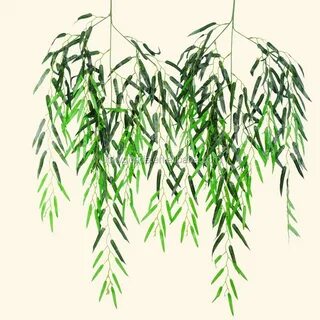 Leaves off