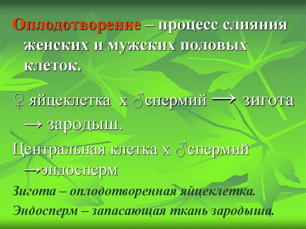 Оплодотворение это в биологии 6 класс. Размножение и оплодотворение у растений. Процесс оплодотворения у растений. Оплодотворение это процесс слияния.