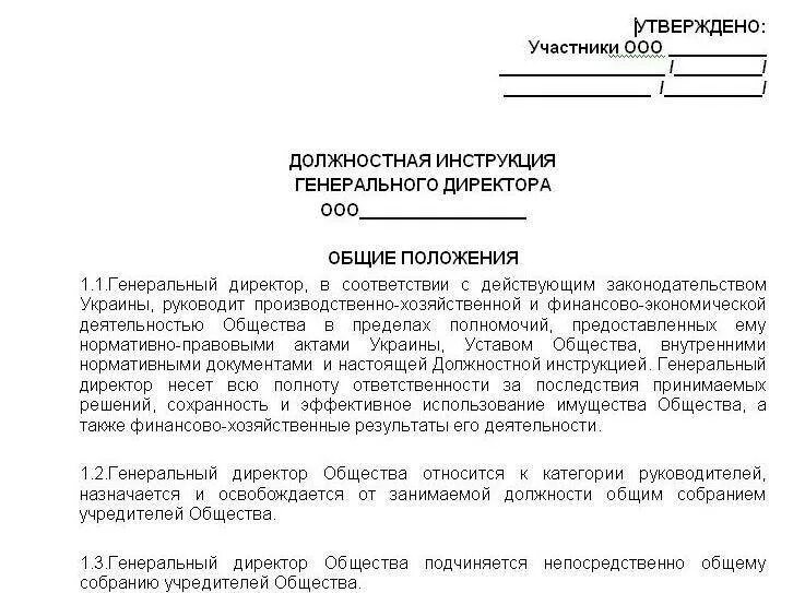 Инструкция утверждение на предприятии. Должностные инструкции генерального директора примеры образцы. должностные обязанности директора предприятия образец. должностной бланк генерального директора. должностная инструкция генерального директора предприятия образец.