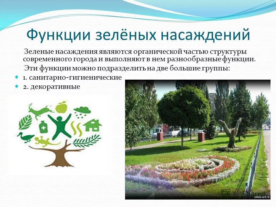 функции зеленых насаждений в городе. функции зеленых насаждений. функции зеленых насаждений. роль зеленых насаждений в городе. роль зеленых насаждений.