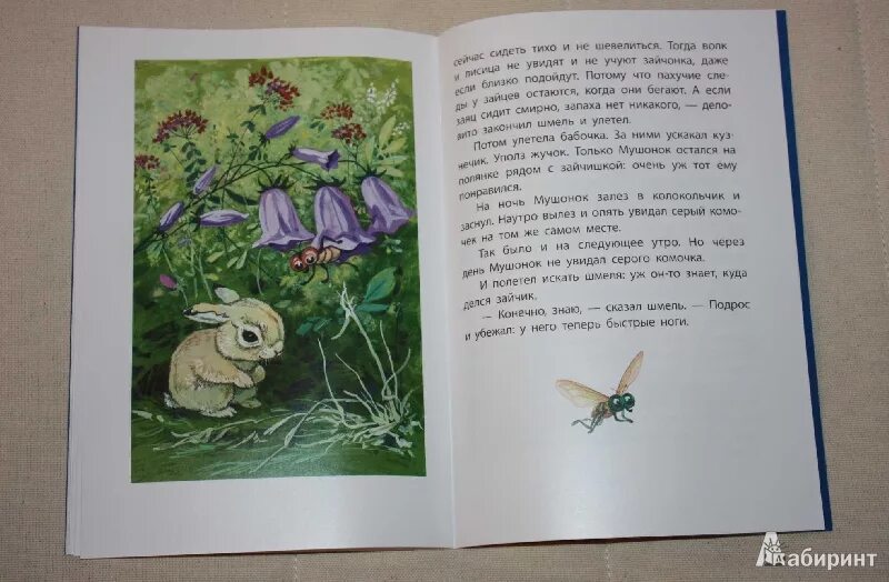 Сказки про ю. Сказки про ю. Кузнецова сказки про вредин. Сказки про мушонка дмитриев книга. Сказки про ю.