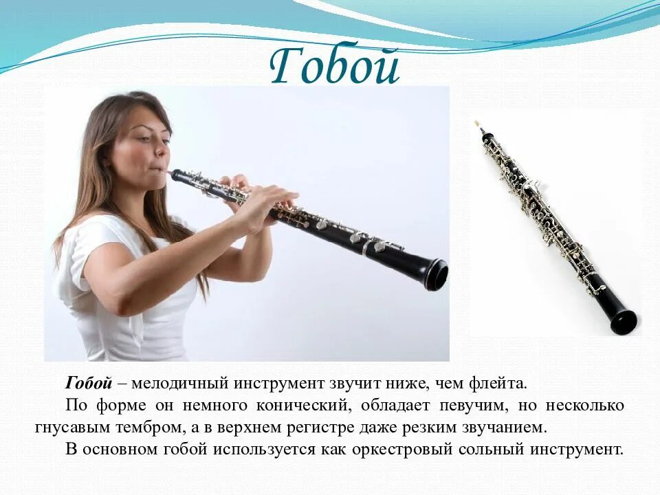 Флейта с наконечником. Современная флейта. Инструменты симфонического оркестра флейта. Инструменты симфонического оркестра гобой. Симфонический оркестр солистка флейтистка.