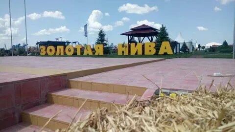 Золотая нива песня