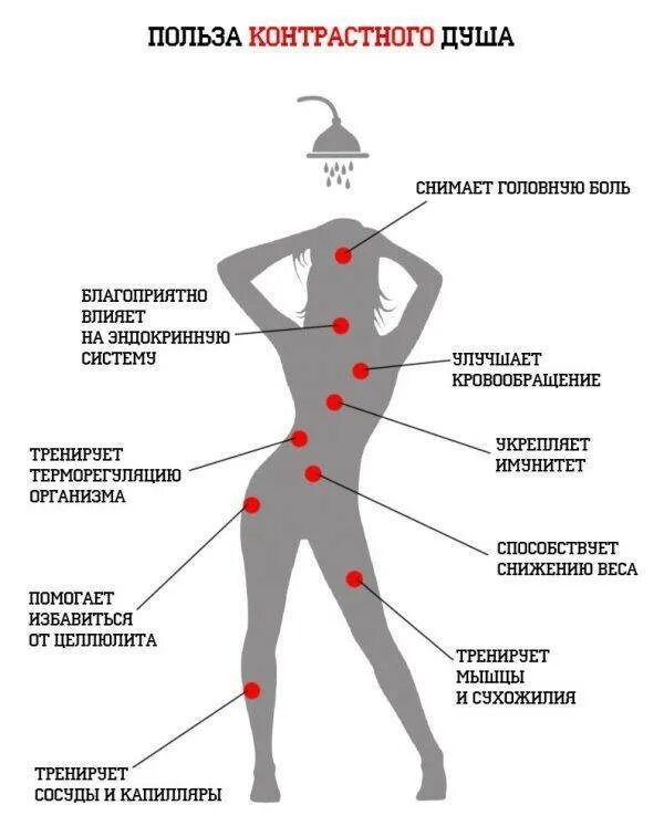 Польза контрастного душа.