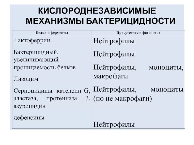 Схема кислороднезависимых бактерицидных механизмов фагоцитов. Кислороднезависимые механизмы бактерицидности. Кислородзависимые бактерицидные механизмы нейтрофилов. Кислородзависимые факторы бактерицидности.