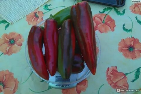 Перец какаду