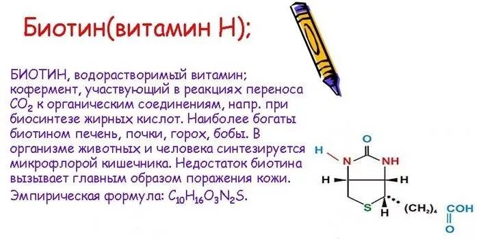 Биотин какой витамин группы в. Витамин в7 биотин. Источники витамина в7 в продуктах. Витамин б7 биотин. Витамин н биотин.