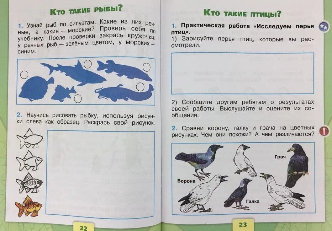 Новости окружающий мир 1 класс. Окружающий мир 1 класс. узнай рыб по силуэтам окружающий мир 1 класс рабочая тетрадь. времена года 1 класс окружающий мир. рабочие листы по окружающему миру 3 класс школа россии.