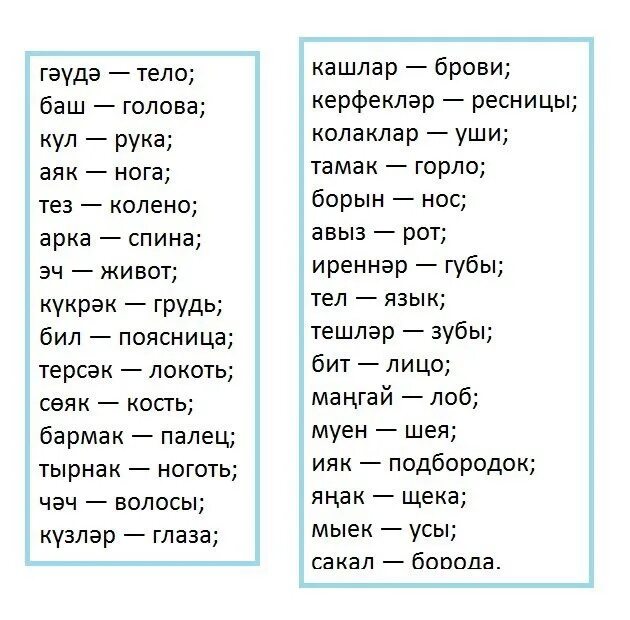 Куз перевод на русский. Части тела Цна татарском. Части тела на Тарском языке. Части тела на татарском языке. Части тела по татарскому языку.