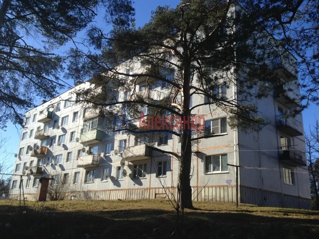 Квартира в приозерске. Квартира в приозерске. Квартиры в приозерске ленинградской. Громово ленинградская область. Квартиры в приозерске ленинградской.
