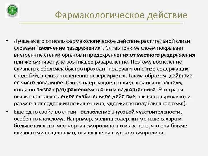 Свойства слизи. Каким действием обладают слизи. Слизи характеристика