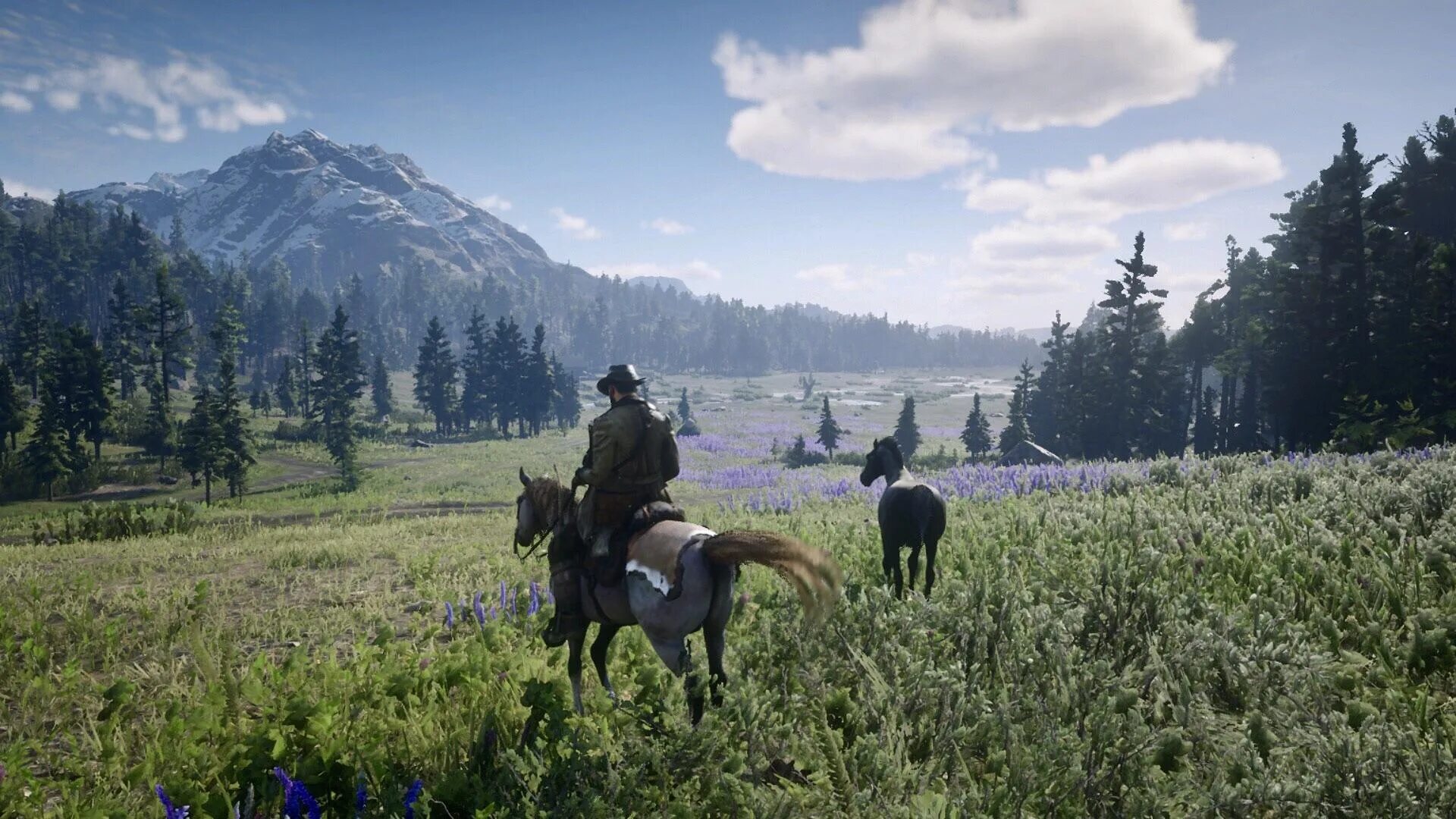 Red Dead Redemption 2 открытый мир. Red Dead Redemption 2 геймплей. Мир rdr 2 4k. Rdr 2 RTX 4k.