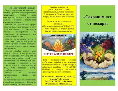 Буклет сохрани