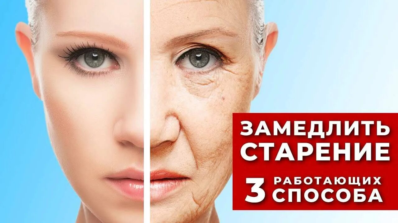 Замедляет процесс старения. Старость организма. Омоложение. Старение замедляется. Замедлаеть старения организма.