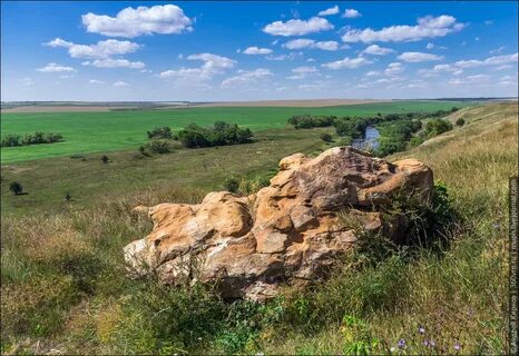 Липецкая область кони
