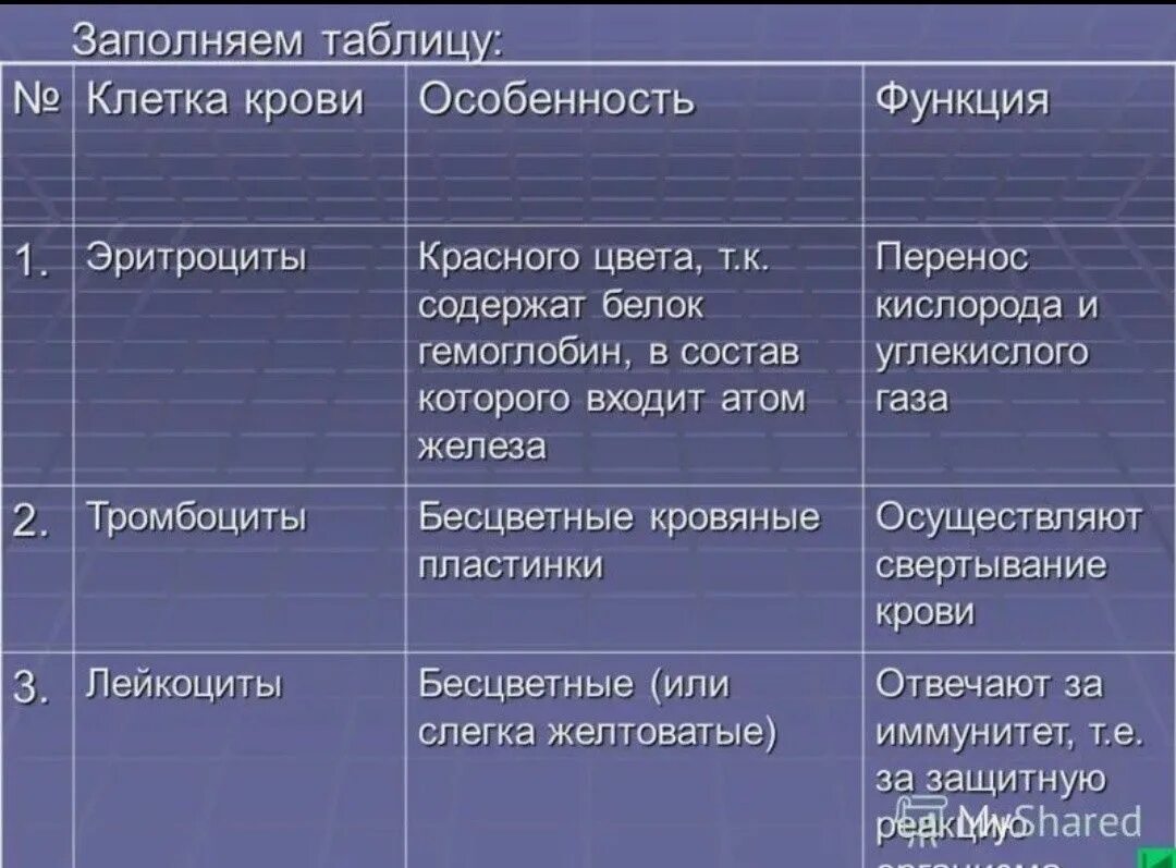 Функции эритроцитов лейкоцитов тромбоцитов таблица. Эритроциты лейкоциты тромбоциты таблица. Особенности строения и функции клеток крови таблица. Эритроциты лейкоциты тромбоциты таблица строение и функции. Таблица 5 биология 8 класс