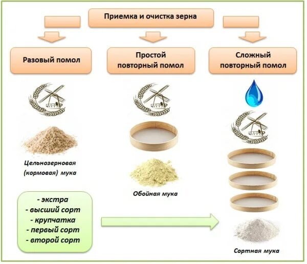 Зерно после очистки. Виды помола пшеничной муки. Сортовой помол муки. Измельчение зерна в муку. Какие бывают размолы муки.