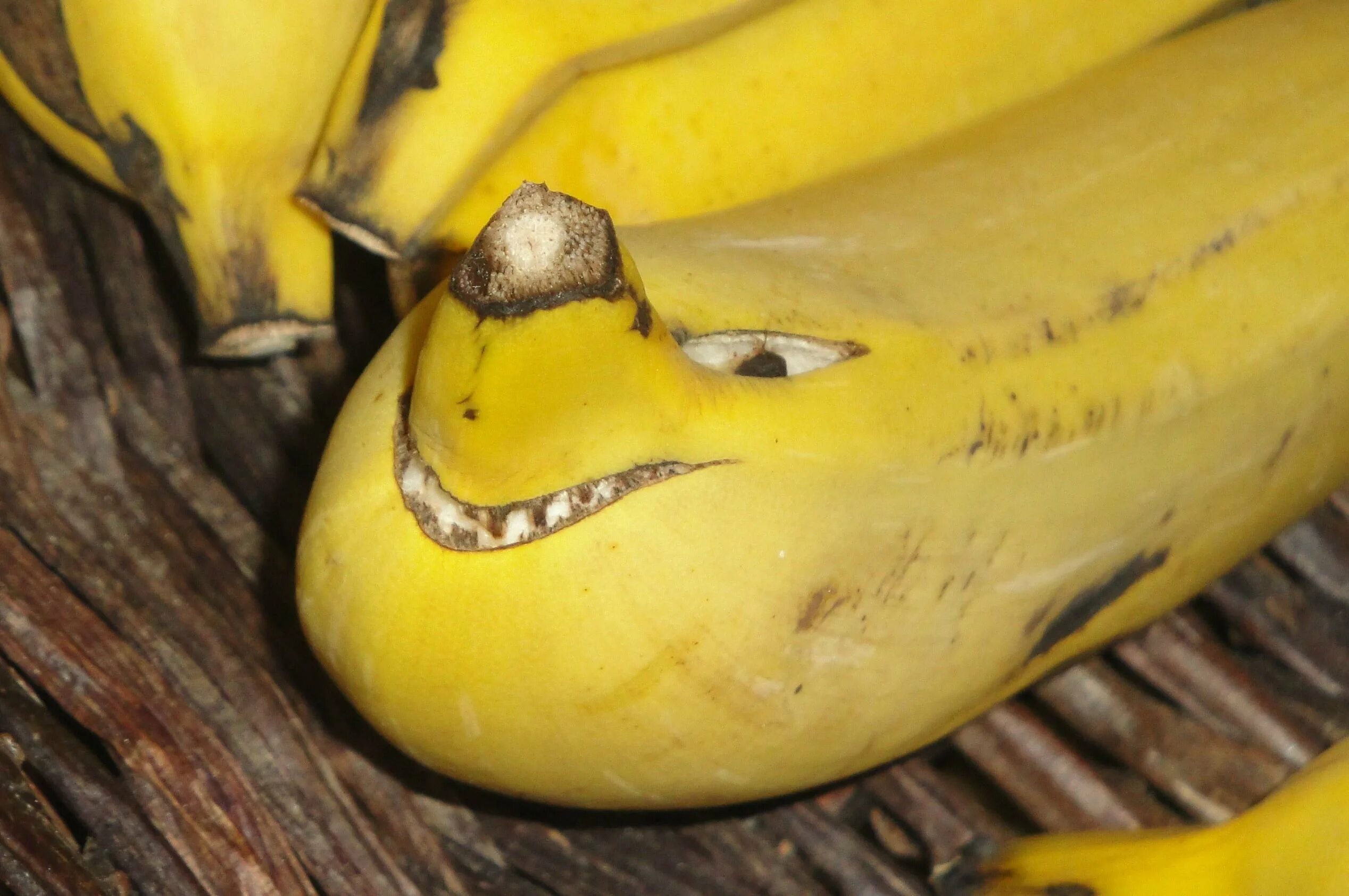 Видео где банан. Геншин банано. Злой банан. Страшный банан. Живой банан.