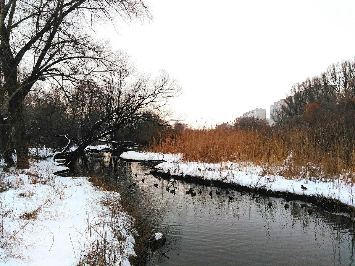 Глубокий а ручей. Глубокая (приток Северского Донца). Река Харьков. Глубокий ручей. Река Харьков Харьков.