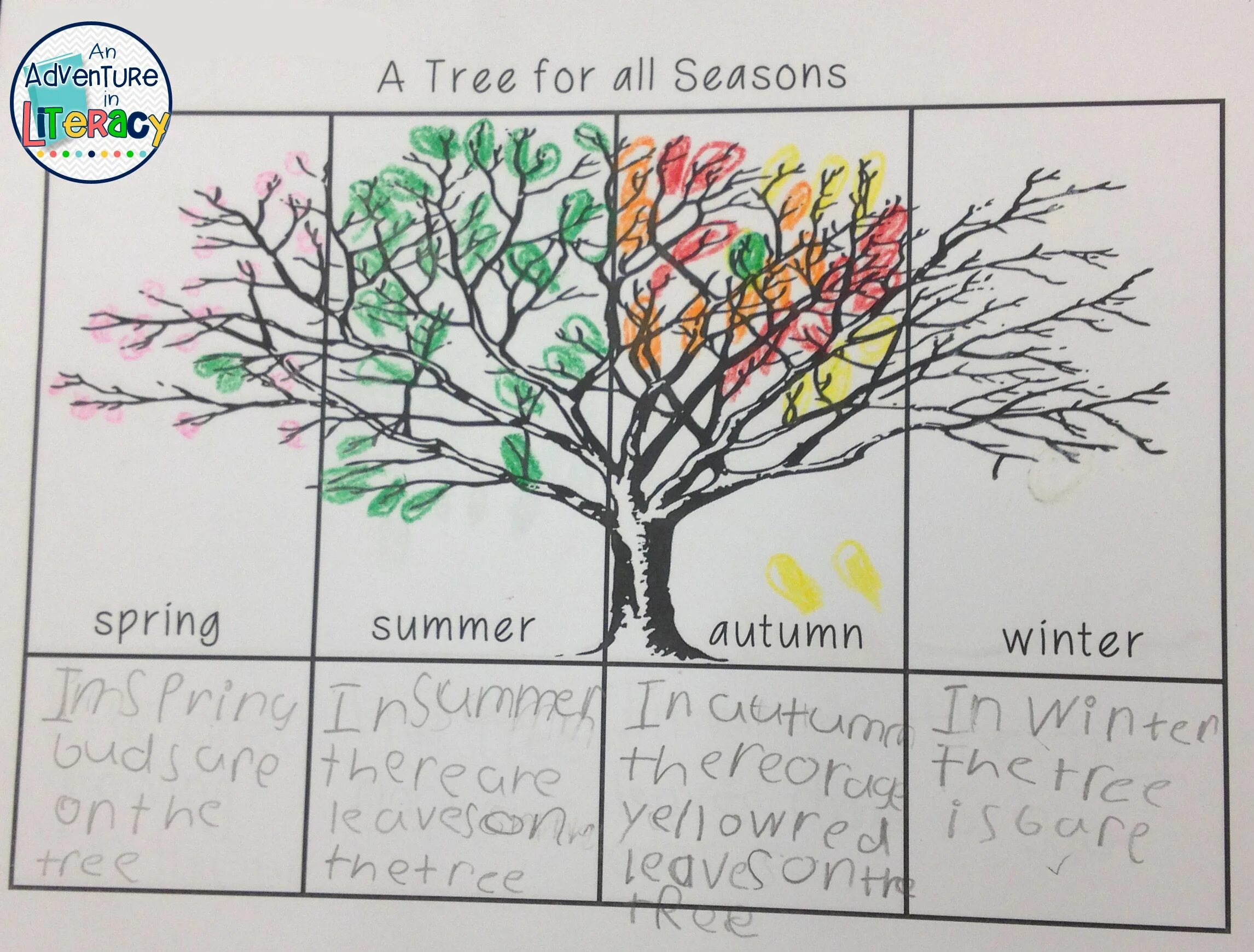 My last tree