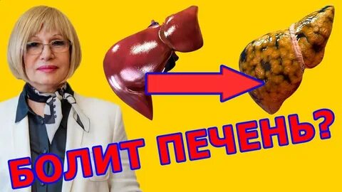 Жировой гепатоз печени лечится полностью