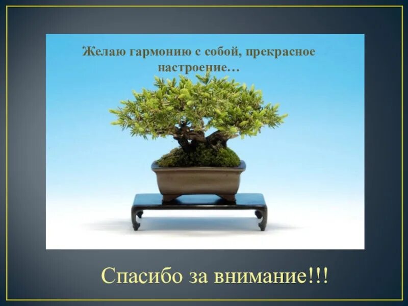 Желаю жить в гармонии. Желаю гармонии с собой. Внутренней гармонии пожелание. Пожелание гармонии и душевного равновесия. Пожелания душевного спокойствия и гармонии.