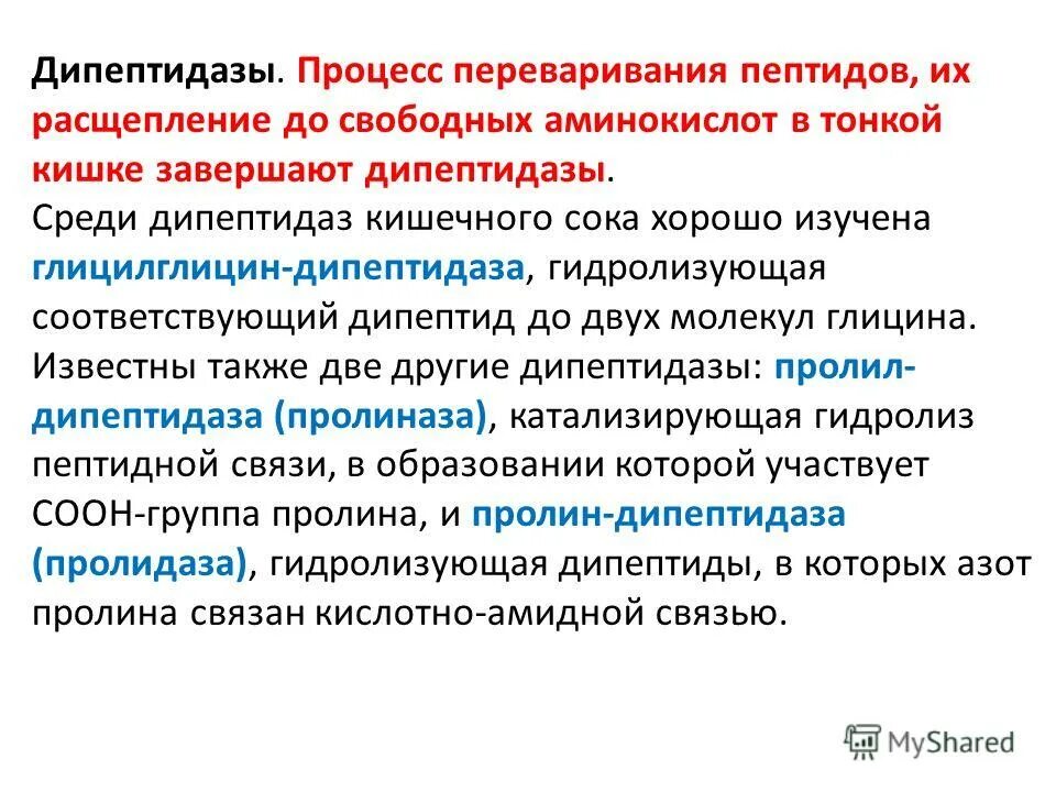 Расщепление полипептидов. Дипептидаза. Дипептидазы расщепляют:. Дипептидазы расщепляют пептидные связи. Ферменты расщепляющие пептиды.