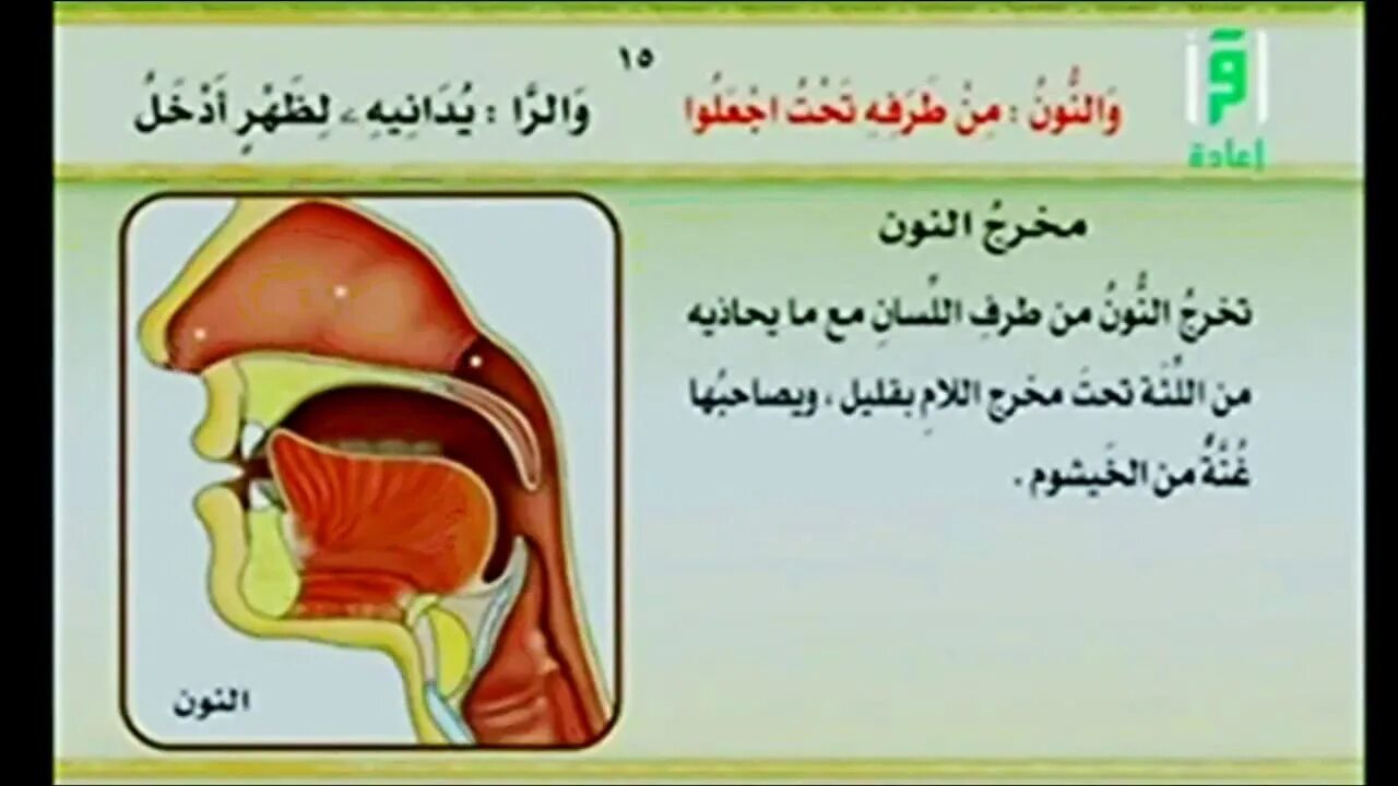 Таджвид сувейда. Махрадж арабского алфавита. Махрадж НУН. Махрадж арабского алфавита Айман Сувейд. Места образования арабских букв.