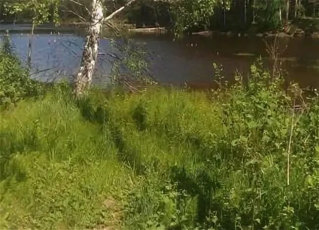 Пгт нижние вязовые. П. Вязовая участки. Бетькинское сельское поселение кама. Дегтярск , ул вязовая, 1а.