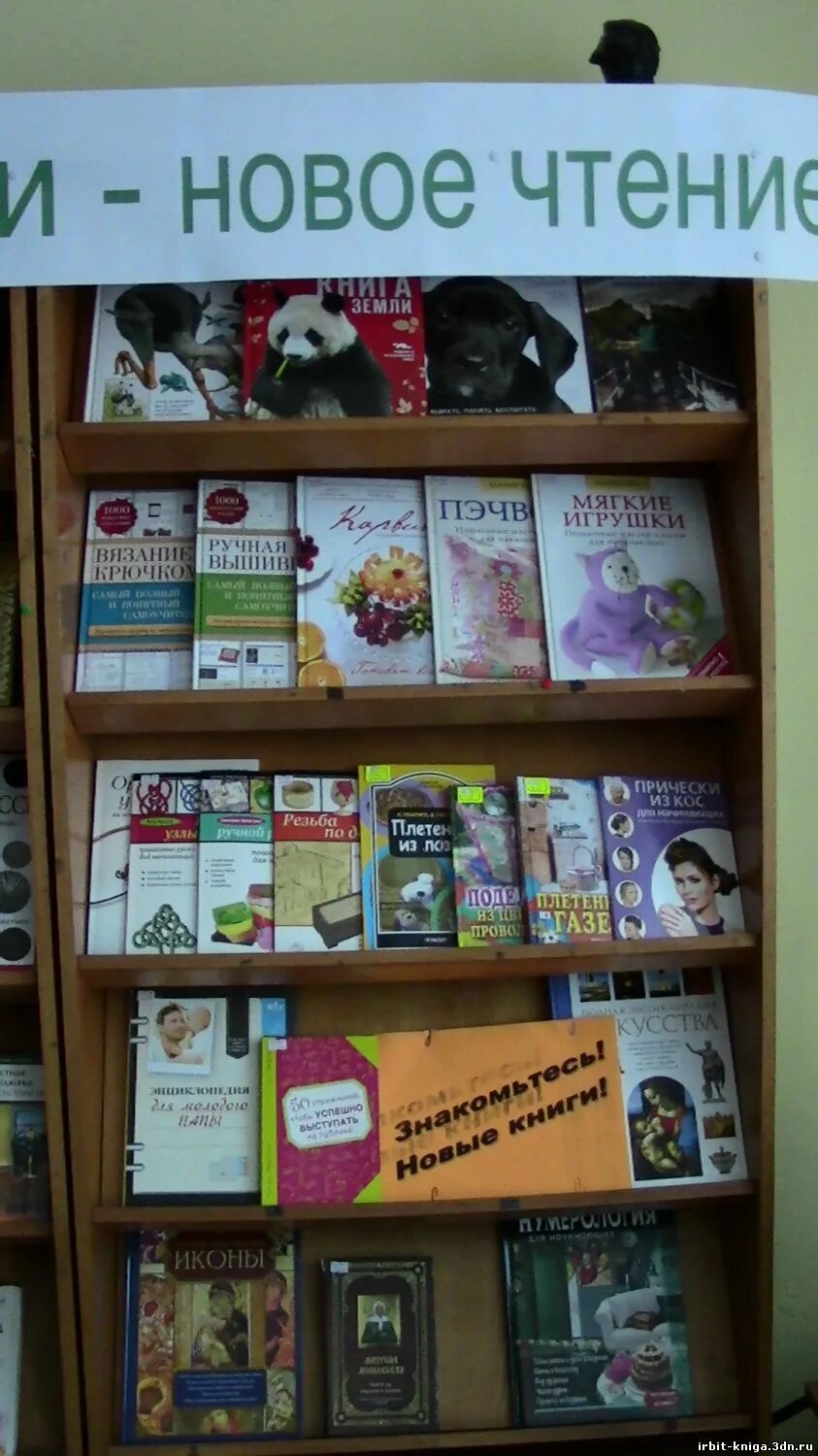Выставка новых книг. Выставка новых книг в библиотеке. книжная выставка новые книги в библиотеке. новинки книг выставка.