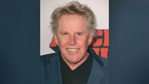 Actor Gary Busey facing sex offense charges stemming from incident at South...