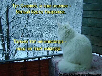 Прикольные картинки про холодную весну с надписями