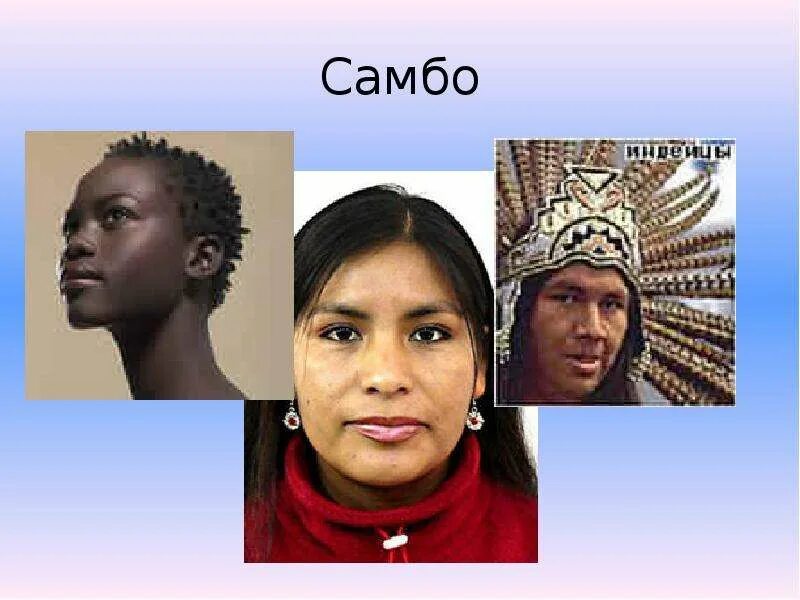 Самбо какие расы. Мулат метис креол. Самбо какие расы. Мулат метис креол. Смешанные расы южной америки.