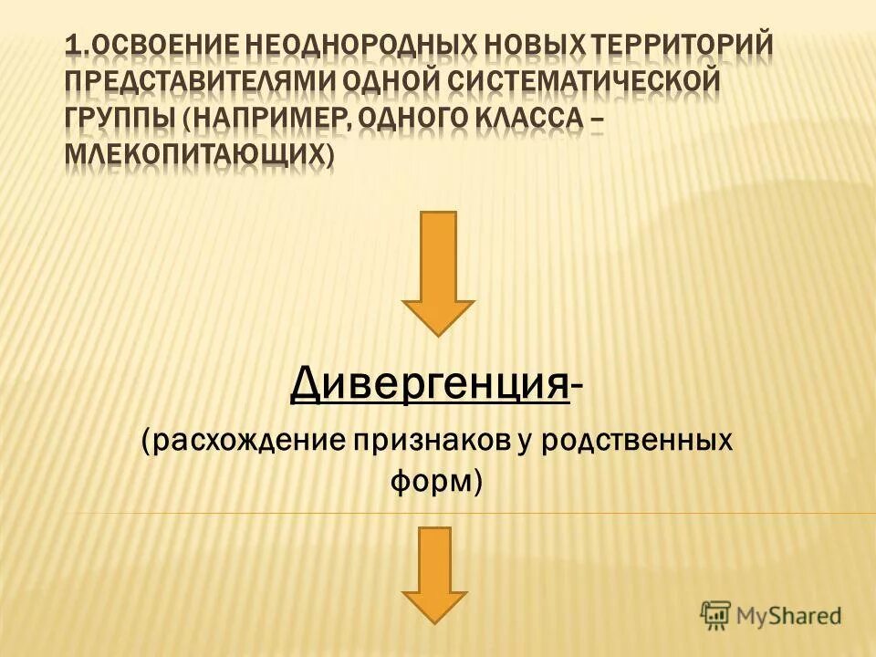 Чем определяется расхождение признаков у родственных групп