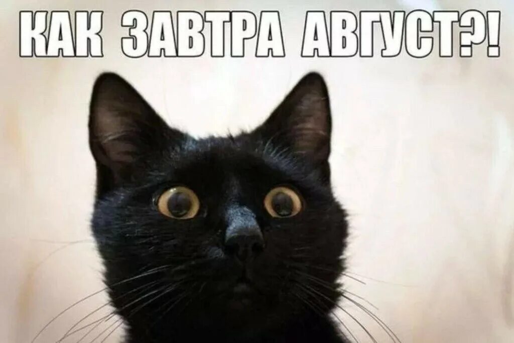 Сообщим на следующей неделе