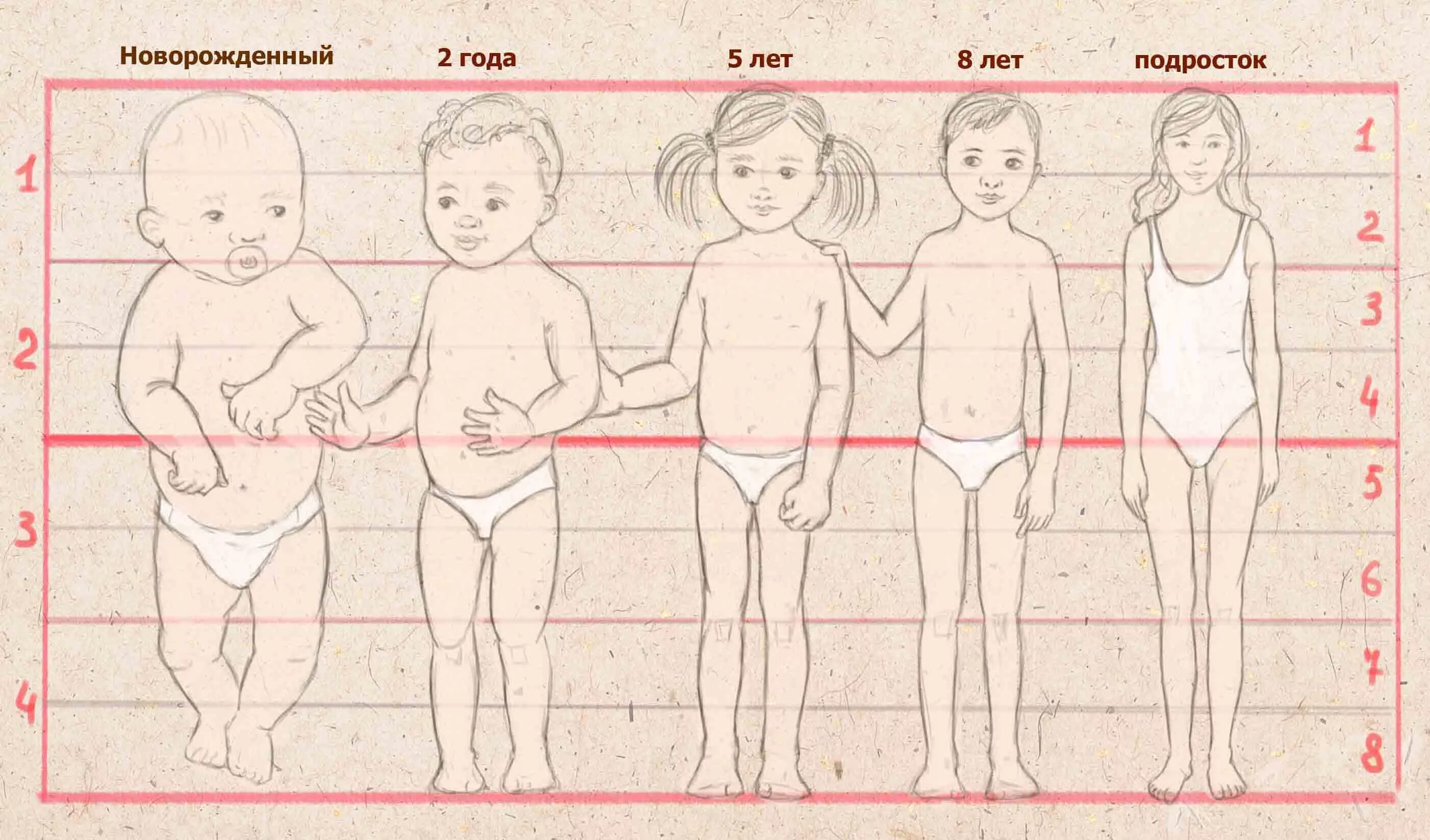 Маленький по возрасту. Пропорции тела ребенка по возрастам. Пропорции тела ребенка 5 лет. Анатомия пропорции тела ребенка. Пропорции частей тела ребенка в 1год.