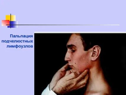 Пальпация поднижнечелюстных лимфатических узлов