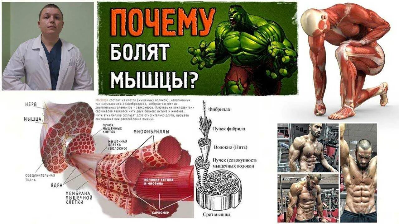 Отек мышц после тренировки. Отек мышц после тренировки