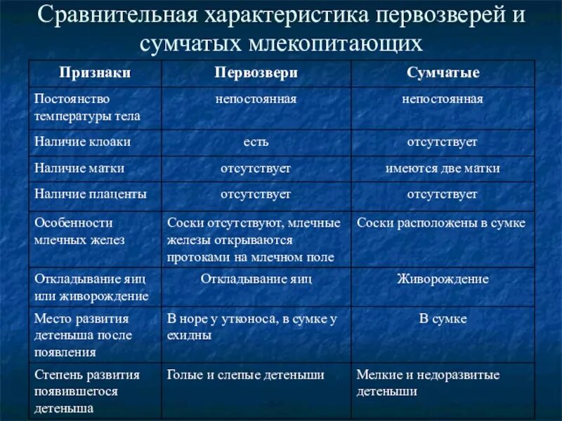 Класс насекомые общая характеристика 7 класс таблица. Таблица насекомые 7 класс биология общая характеристика. Заполните таблицу сравнительная характеристика простейших 7 класс. Признаки низших млекопитающих. Характеристика животного биология 7 класс.