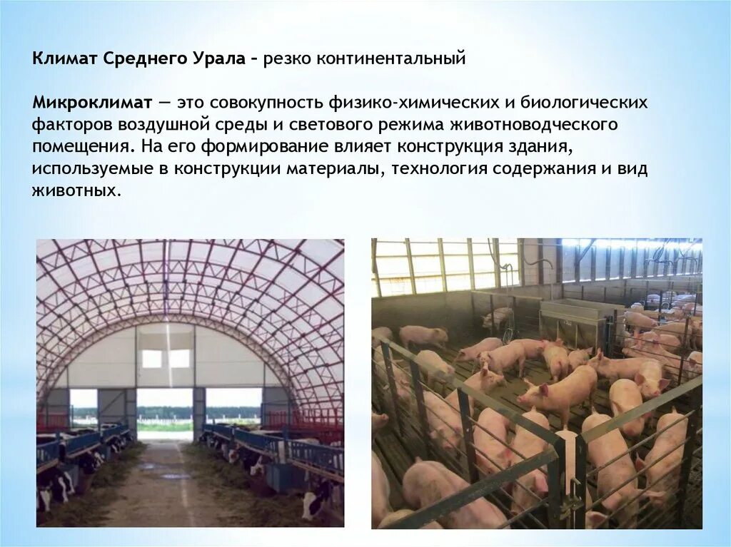 Как воздух влияет на животных