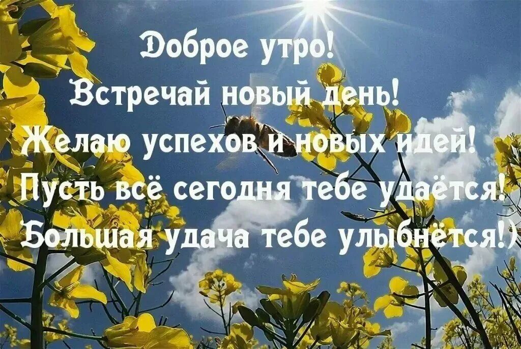 Доброго весеннего утра субботы картинки с надписями. Доброго весеннего утра и удачного дня. Пожелания доброго весеннего утра и удачного дня. С добрым утром с новым днем пожелания. Красивые поздравления с новым днем с картинками.