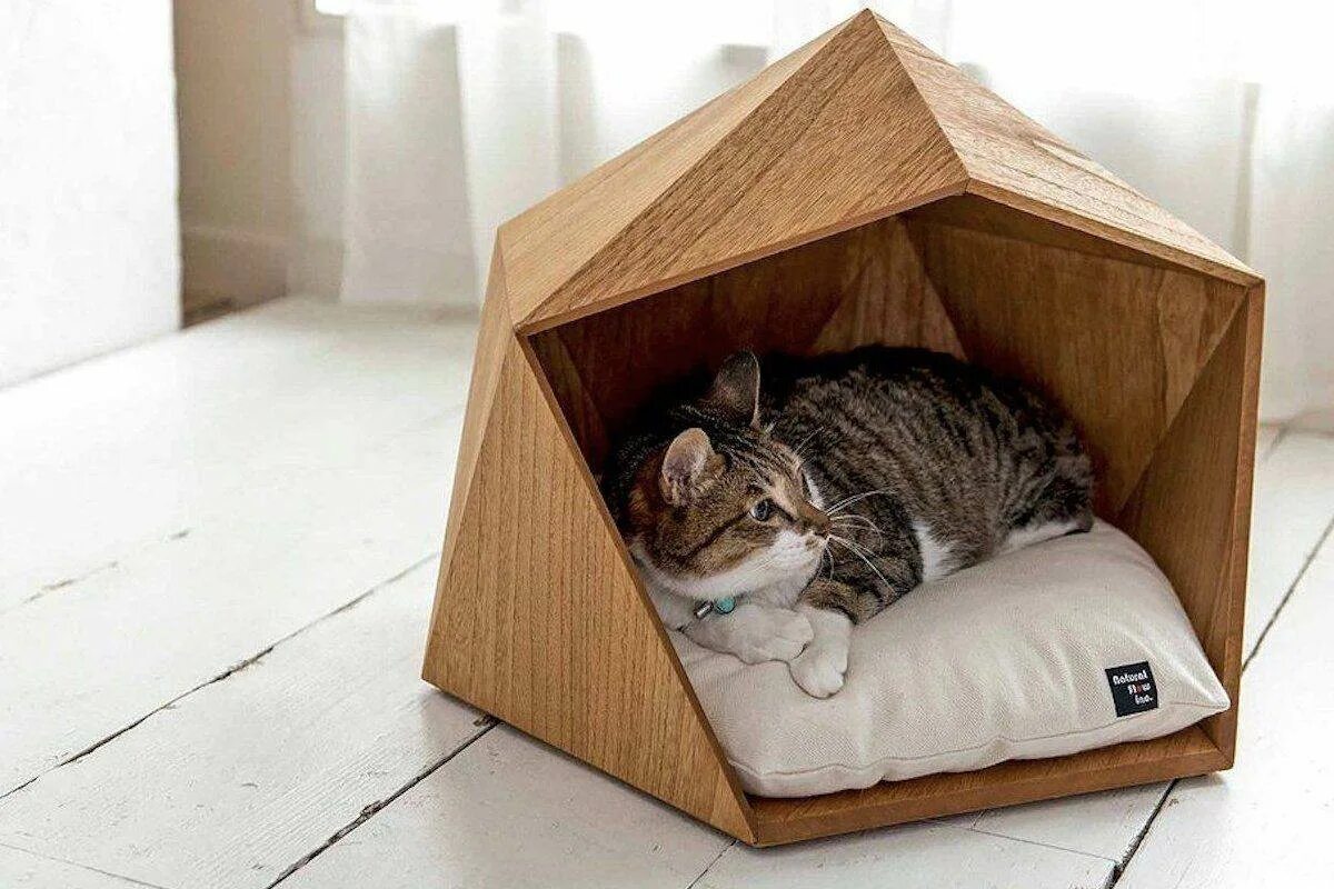 Как называется дом кота. Как называется дом кота