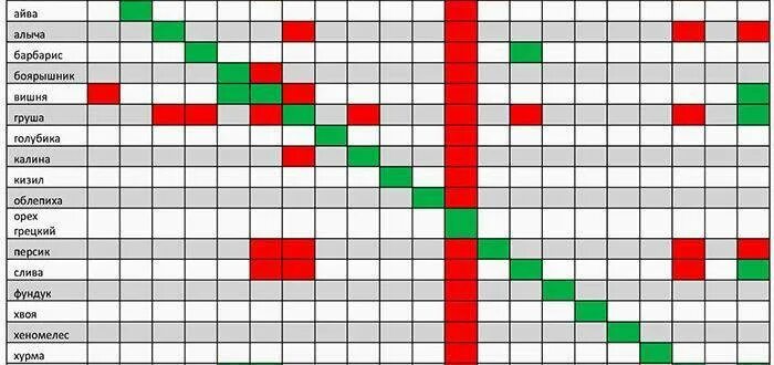 Соседство смородины. Совместимость плодовых деревьев и кустарников в саду таблица. Таблица совместимости плодовых кустарников. Соседство плодовых деревьев и кустарников на участке. Совместимость посадки плодовых деревьев и кустарников в саду.