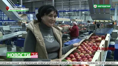Работа в ингушетии свежие вакансии беркат