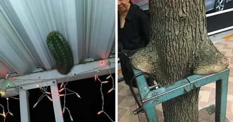 Вывели новый вид